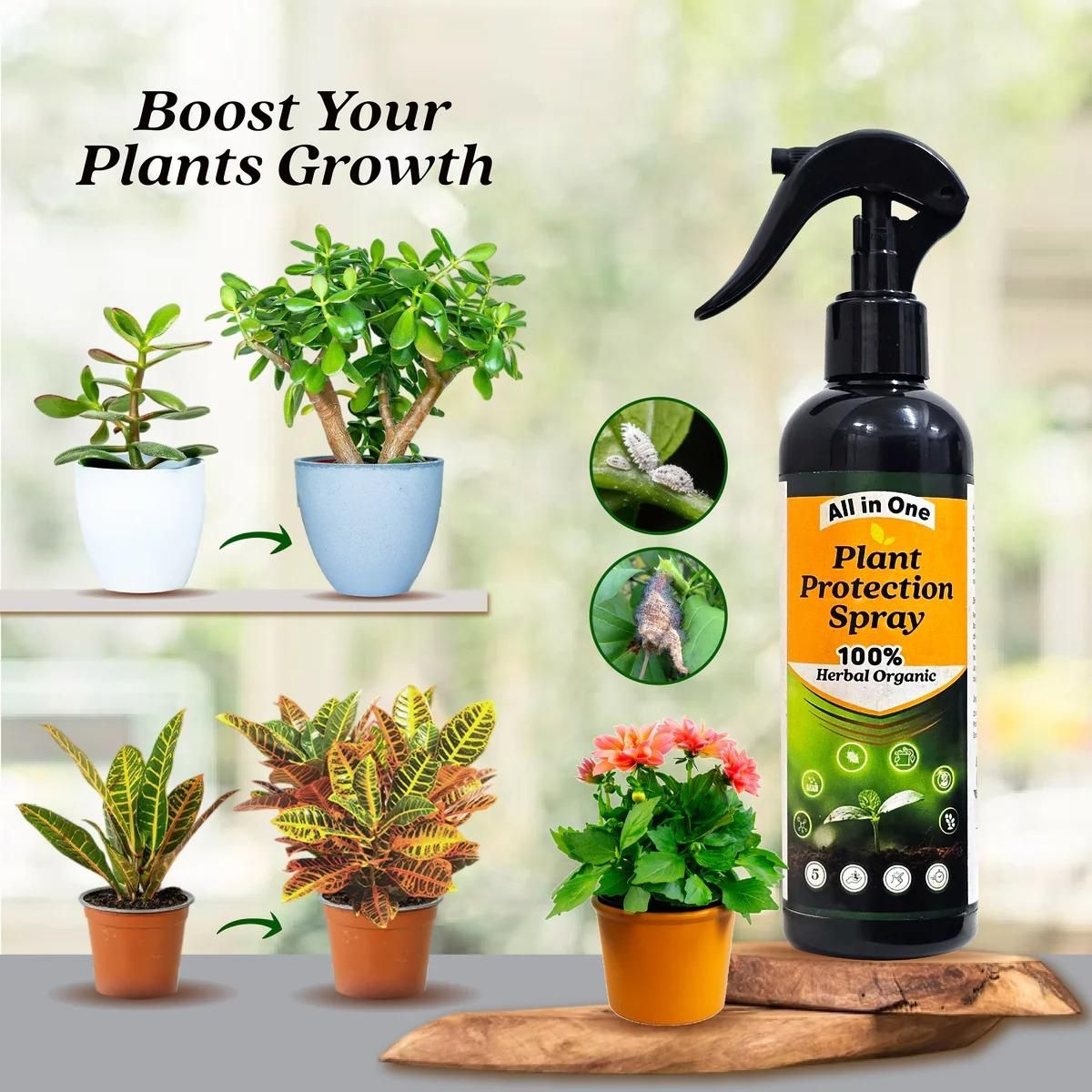All-in-One Plant Protection Spray